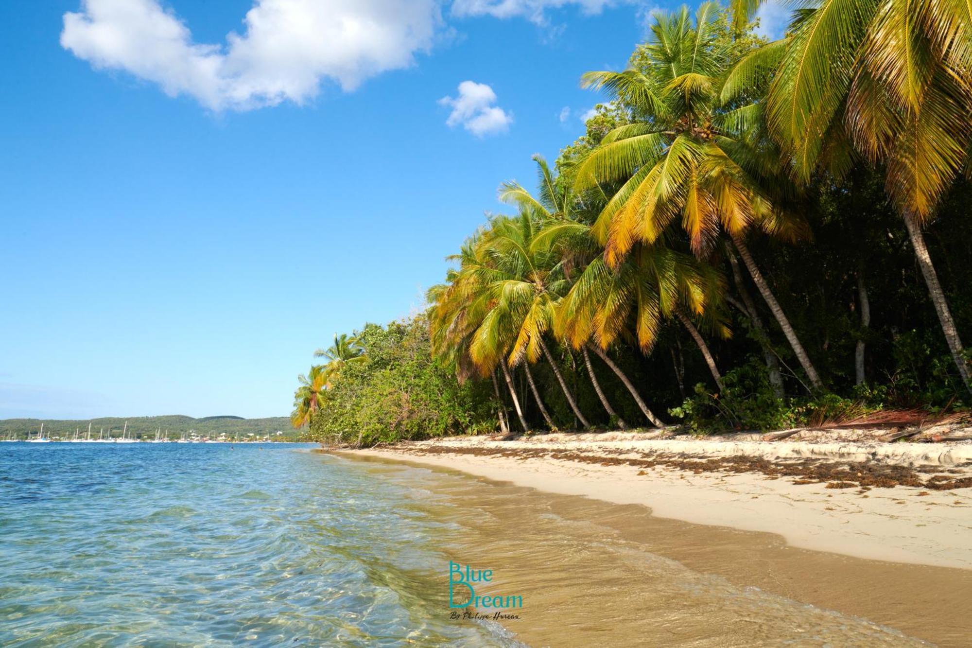 Kawan Nid - Tout Confort, Plage A 2 Min A Pied, Piscine, Wifi, Climatisation Grand-Bourg  외부 사진